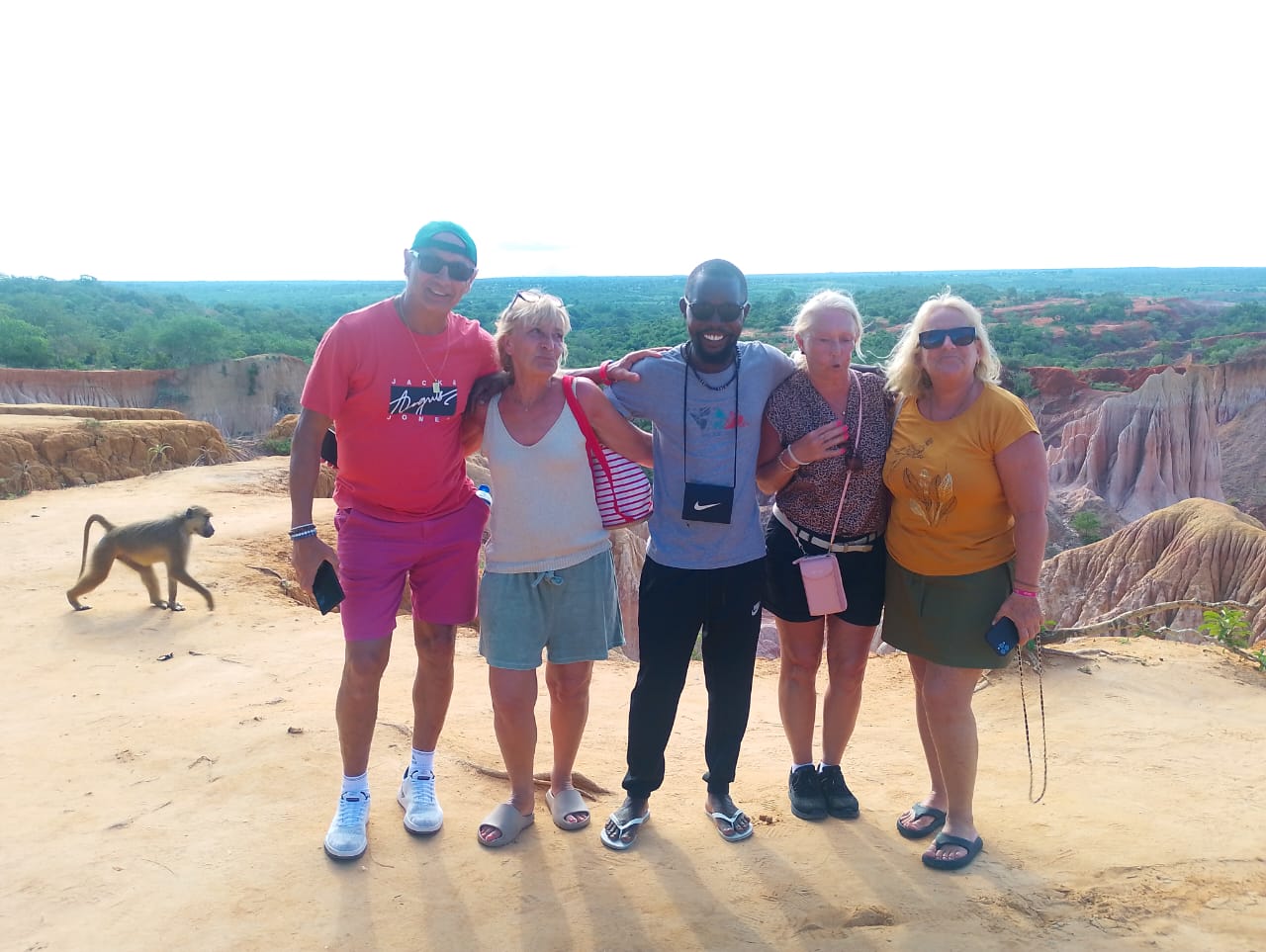 Karibu kenya - watamu dolphin adventures tour services.